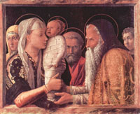 Mantegna Andrea - Darstellung Christi im Tempel