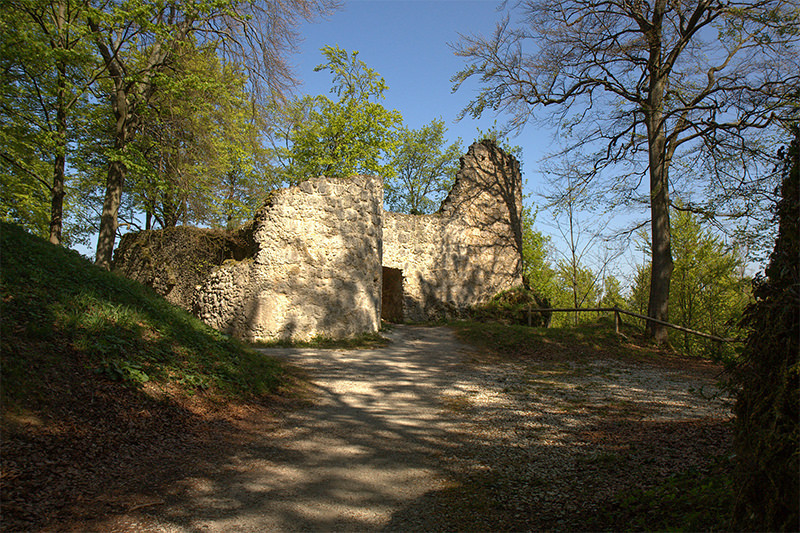   Burgruine Leienfels