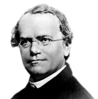 Gregor Mendel