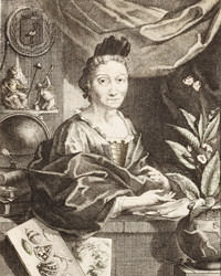 Maria Sibylla Merian