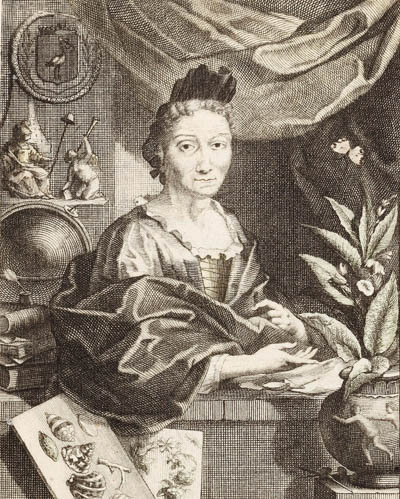 Merian Maria Sibylla 