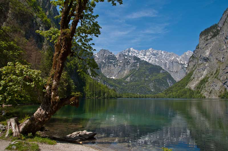   Obersee